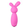 Vibrerende-Mini-Bunny-Vibrator