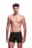 Envy Transparante Mesh Herenshort - Zwart_13