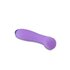 Wellness - G Ball Vibrator - Paars_13