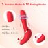 Noah 2 in1 Vibrator_13