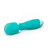 Aida Wand Massager_13